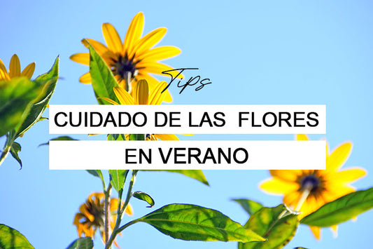 Tips para el cuidado de las flores en verano