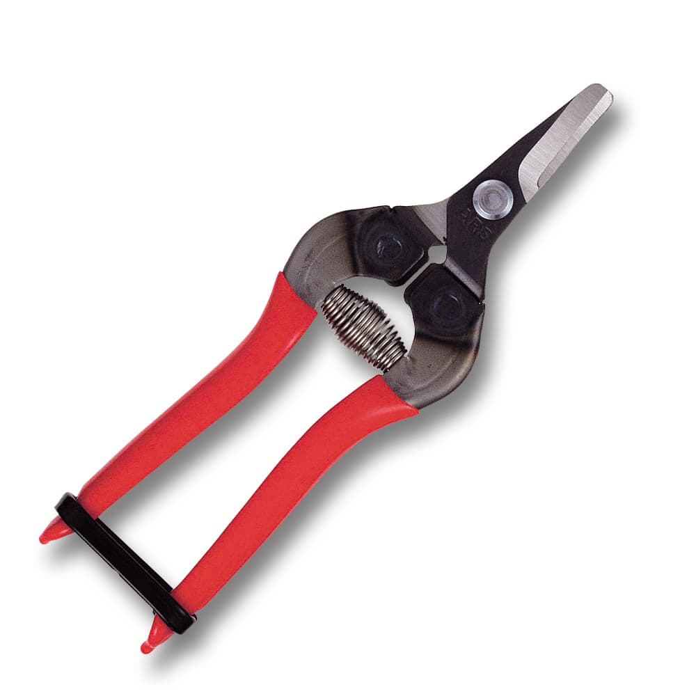 Tijeras para fruta ARS 310-RT