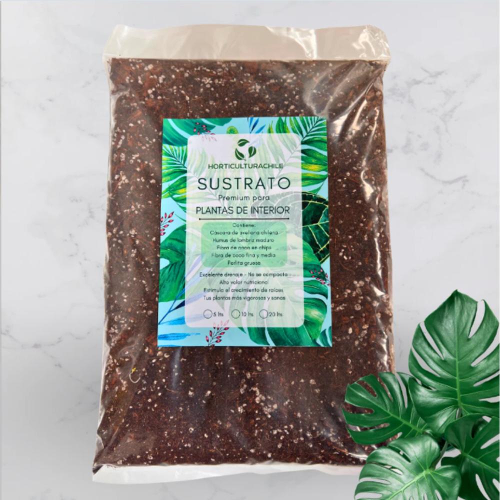Sustrato Premium para plantas de interior