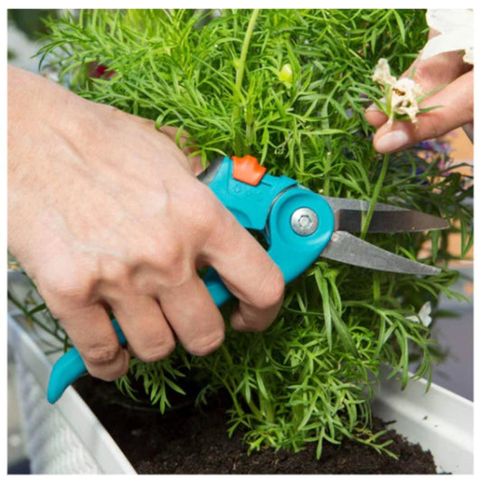 TIJERA PEQUEÑA Punta Fina S-M Soft