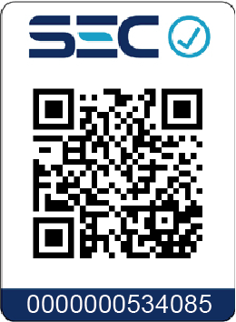 Motosierra Husqvarna 365 15" / Potencia de 4,6 HP